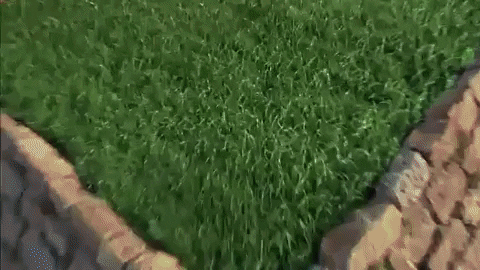 beatrizamendola2d7a giphygifmaker charlize theron aeon flux GIF