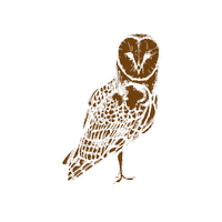 faunakids owl fauna faunaie faunakids Sticker