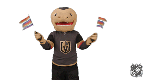 Ice Hockey Sport GIF by NHL