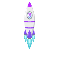Fan Rocket Sticker by Fanadise