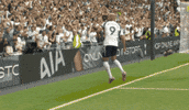 Happy Celebration GIF by Tottenham Hotspur
