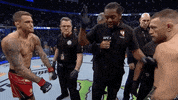 Conor Mcgregor Sport GIF by UFC