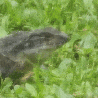 Interested Wink GIF