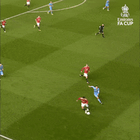 GIF by Emirates FA Cup