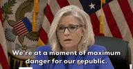 Liz Cheney GIF by GIPHY News