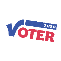 Election 2020 Vote Sticker