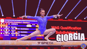 Fgi GIF by Federazione Ginnastica d'Italia