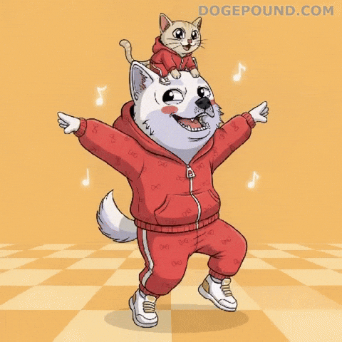 Happy Lets Go GIF by Doge Pound