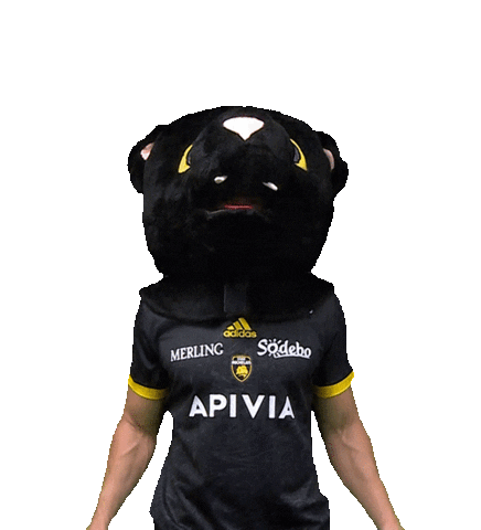 Top 14 Rugby Sticker by Stade Rochelais