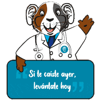 Frases Guiño Sticker by Medical Audicion