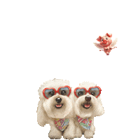 Puppy Love Dog Sticker by HammyandBrody