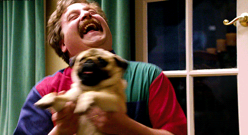 dog person GIF