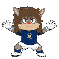 France Football Sticker