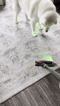 Jump Vacuum GIF