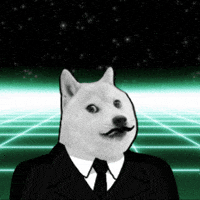 Doge GIF