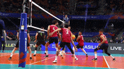 Cant Touch This Oh No GIF by Volleyball World