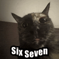 Silly Lilly GIF