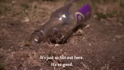 comedy central GIF by Workaholics