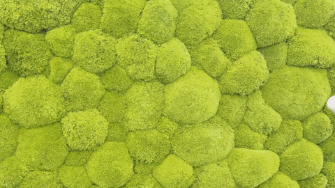 GIF by Staffbase