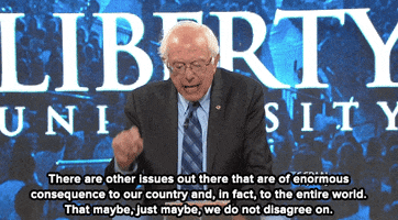 bernie sanders politics GIF