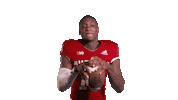 Washington Football Team Sticker by Rutgers Football
