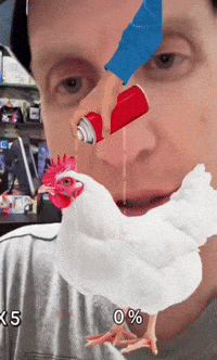 Chicken GIF