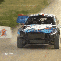 No Problem Damaged Car GIF by FIA World Rally Championship