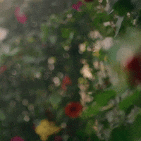 Party Cheers GIF by Absolut Vodka