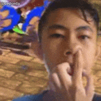 Sedseda GIF