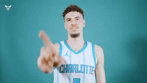 Hive Mentality Lamelo Ball GIF by Charlotte Hornets