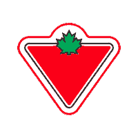 Zoomies Sticker by Canadian Tire