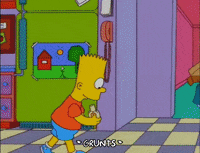 bart simpson episode 22 GIF
