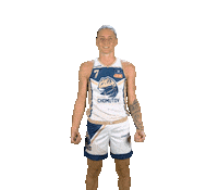 Basketball Celebrations Sticker by Levharti