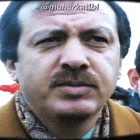 Reis Recep GIF