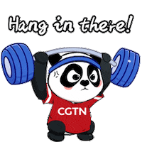 Hang In There Sport Sticker by CGTN V-Studio