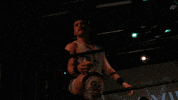 SHWAWrestling wrestling perth pro wrestling southern hemisphere wrestling alliance shwa GIF