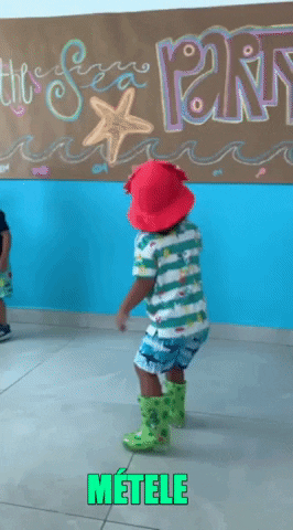 irkanicole giphygifmaker GIF