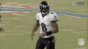 Baltimore Ravens Football GIF by NFL