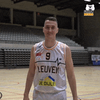 LeuvenBears what bears dont know dunno GIF