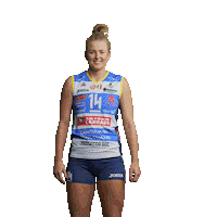 Volleyball Celebrate Sticker by ImocoVolley