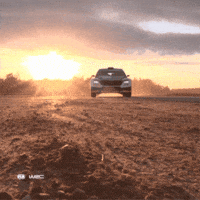 Rock Driving GIF by FIA World Rally Championship