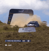 Rallying Car Crash GIF by FIA World Rally Championship
