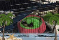 Sleep Lay GIF by VPRO