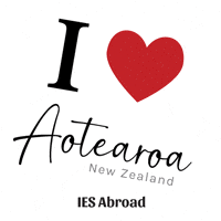 New Zealand Travel GIF by IES Abroad