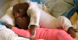Hugging Hug GIF