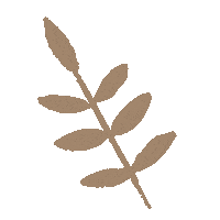 Beige Sticker
