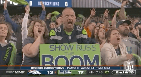 Seattle Seahawks Football GIF by NFL