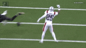 Football No GIF by New England Patriots