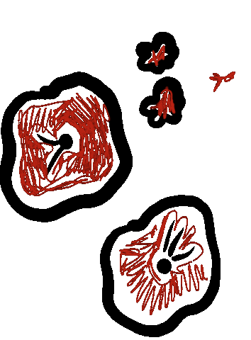 Flower Blooming Sticker by eloessi