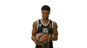 Partizan Sticker by sportmts